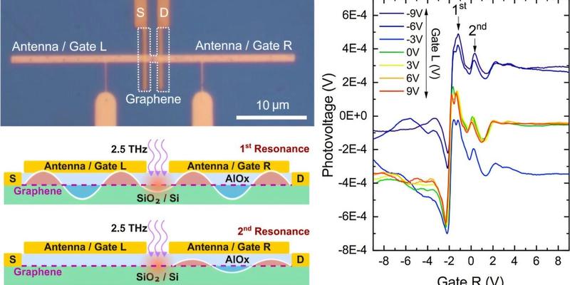 Graphene plasmon cavities enable advanced, scalable terahertz photodetectors