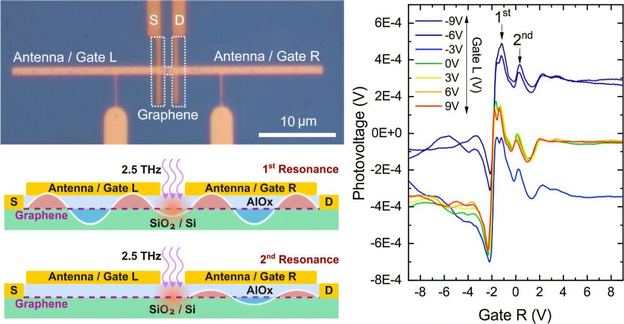 Graphene plasmon cavities enable advanced, scalable terahertz photodetectors