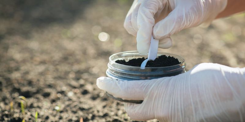 Biochar and bacteria increase plant-accessible potassium in acidic soil