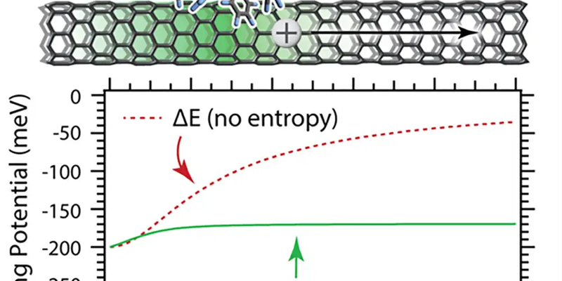 Entropy facilitates charge separation in one-dimensional semiconductors