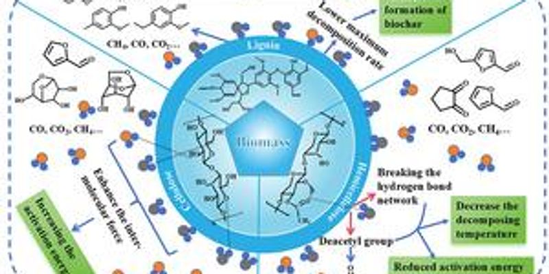 Water in biomass may help shape better biochar, study finds