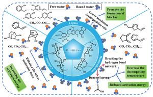 Water in biomass may help shape better biochar, study finds