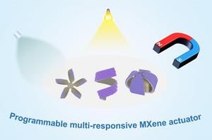 Team at Taiyuan University of Technology develops programmable material