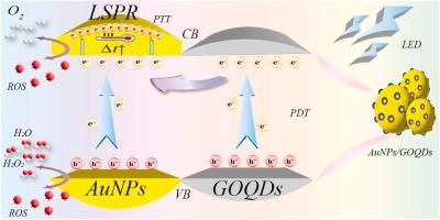 Graphene quantum dot gold nanocomposite for drug-free antibacterial wound treatment