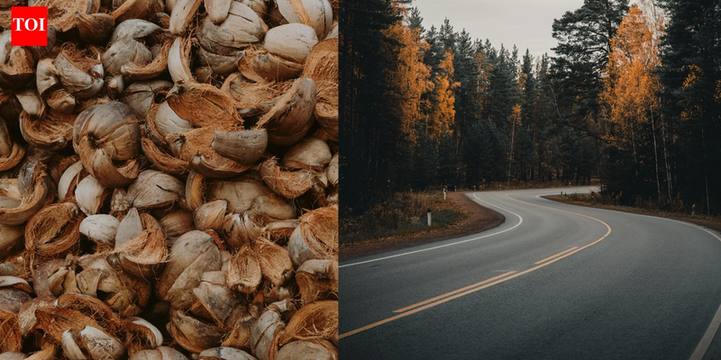 Engineers use coconut shells to create stronger asphalt with 12.5% biochar