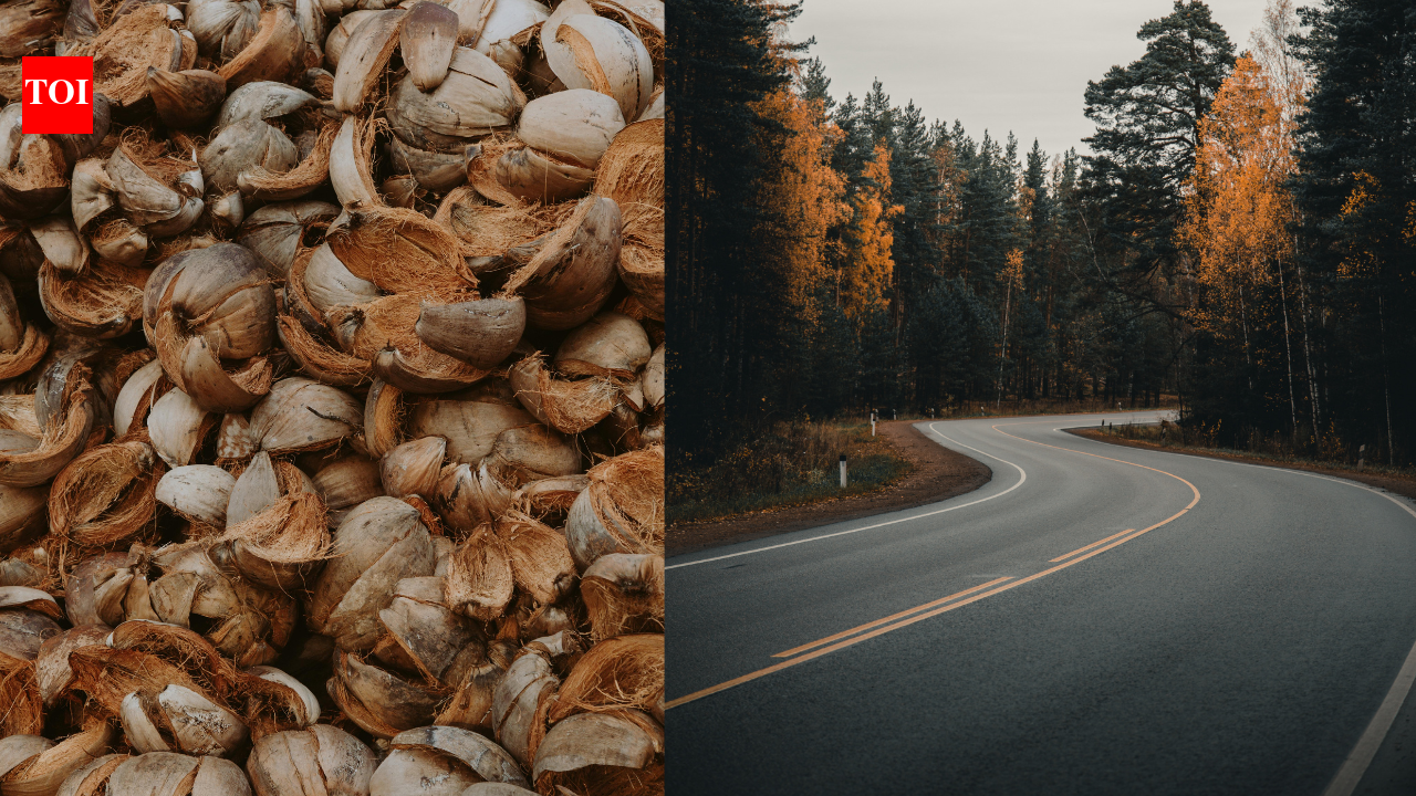 Engineers use coconut shells to create stronger asphalt with 12.5% biochar