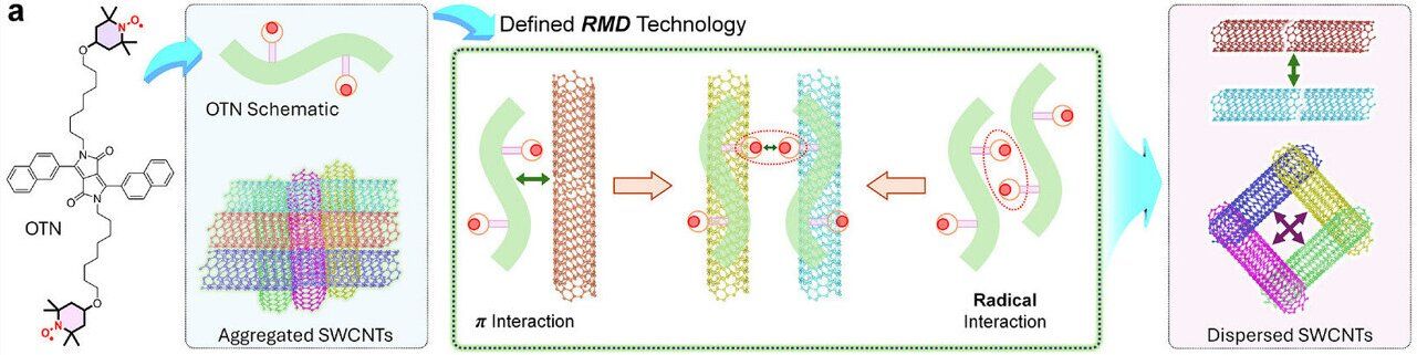 Molecules prevent carbon nanotubes from clumping, enhancing heat-to-electricity performance