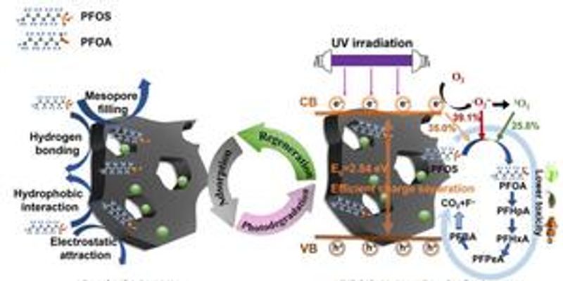 Biochar strategy offers new hope for removing PFOS from water