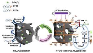 Biochar strategy offers new hope for removing PFOS from water