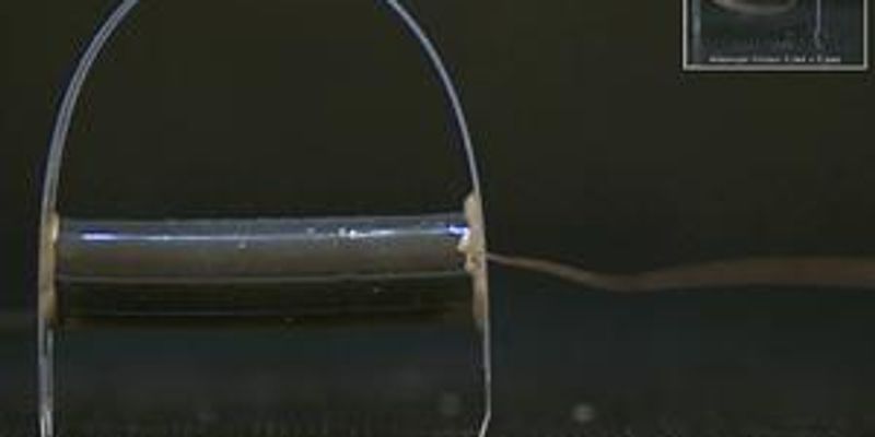 New robot without rigid parts moves like an inchworm