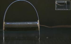 New robot without rigid parts moves like an inchworm