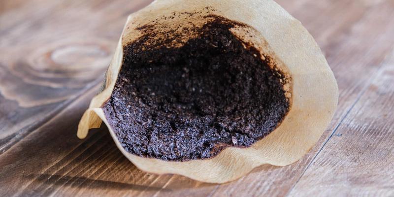 Coffee waste could replace foam home insulation, study finds