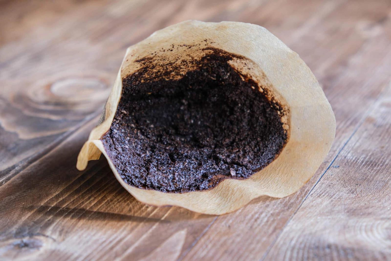 Coffee waste could replace foam home insulation, study finds