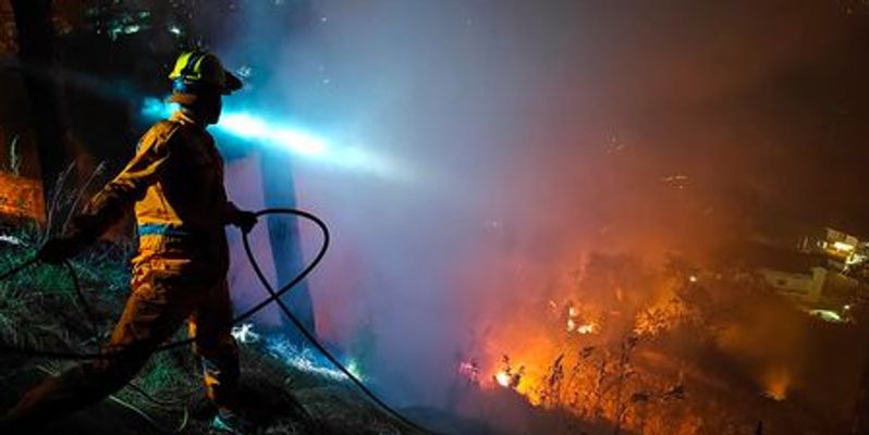 New research facility to minimize forest fires opens in Himachal