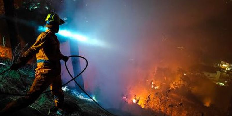 New research facility to minimize forest fires opens in Himachal