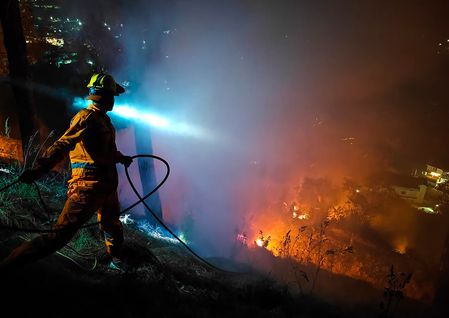 New research facility to minimize forest fires opens in Himachal