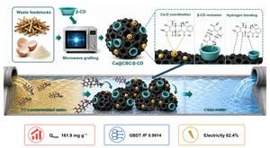 Waste cotton stalks and eggshells turned into biochar for antibiotic removal