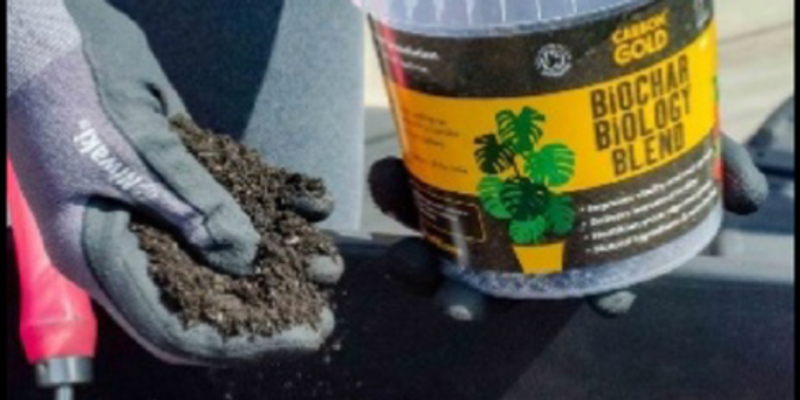 Mechanisms and applications of biochar in remediation, energy, and catalysis