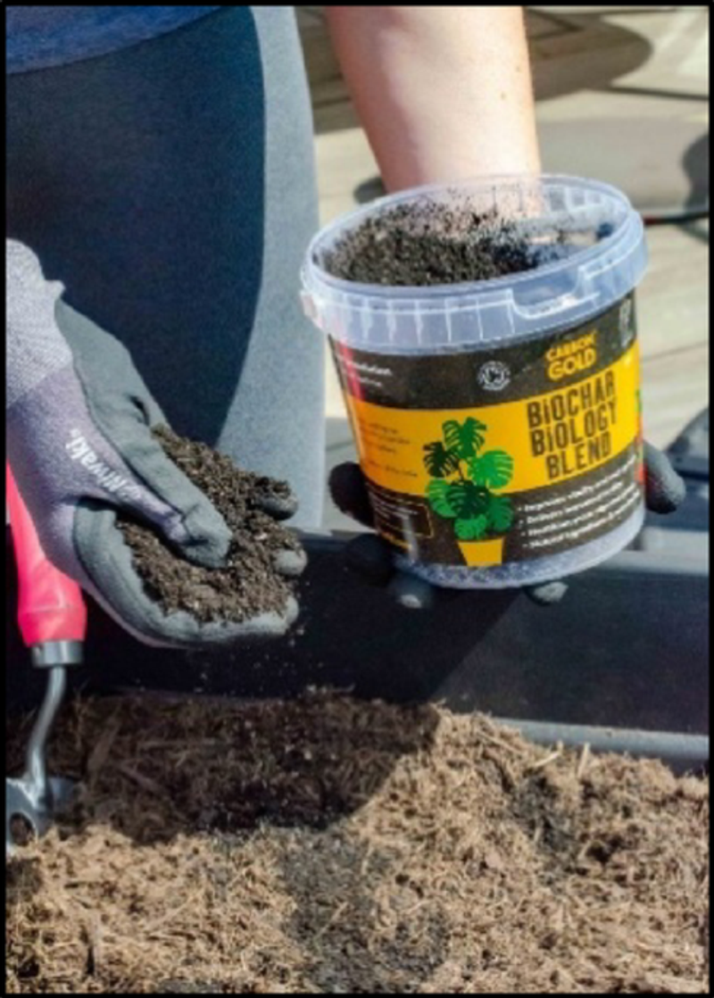 Mechanisms and applications of biochar in remediation, energy, and catalysis