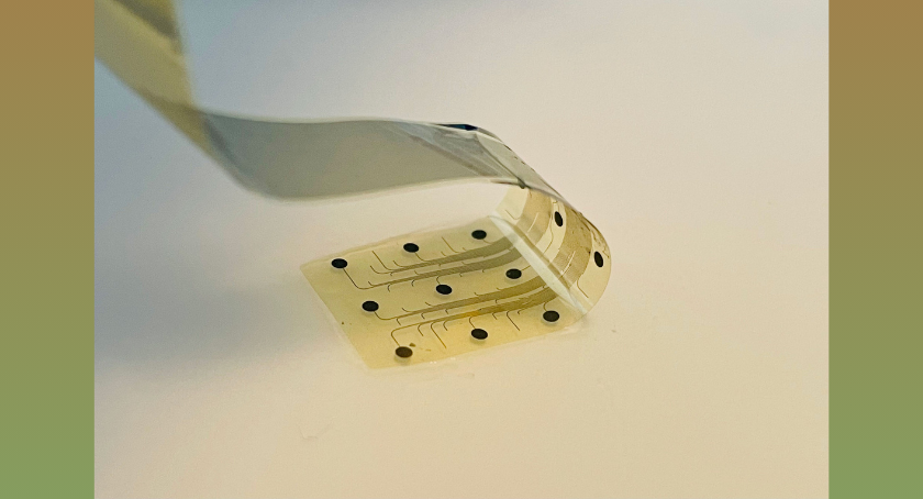 INBRAIN Neuroelectronics Ends Enrollment in Study of Graphene Neural Interfaces