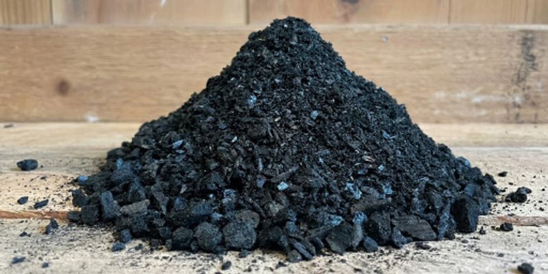 Prabowo's brother Hashim notes Japan, Saudi Arabia interest in Indonesian biochar