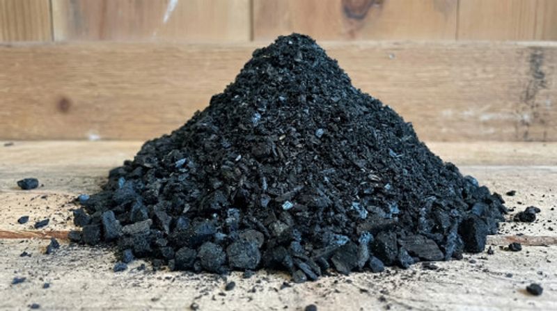 Prabowo's brother Hashim notes Japan, Saudi Arabia interest in Indonesian biochar
