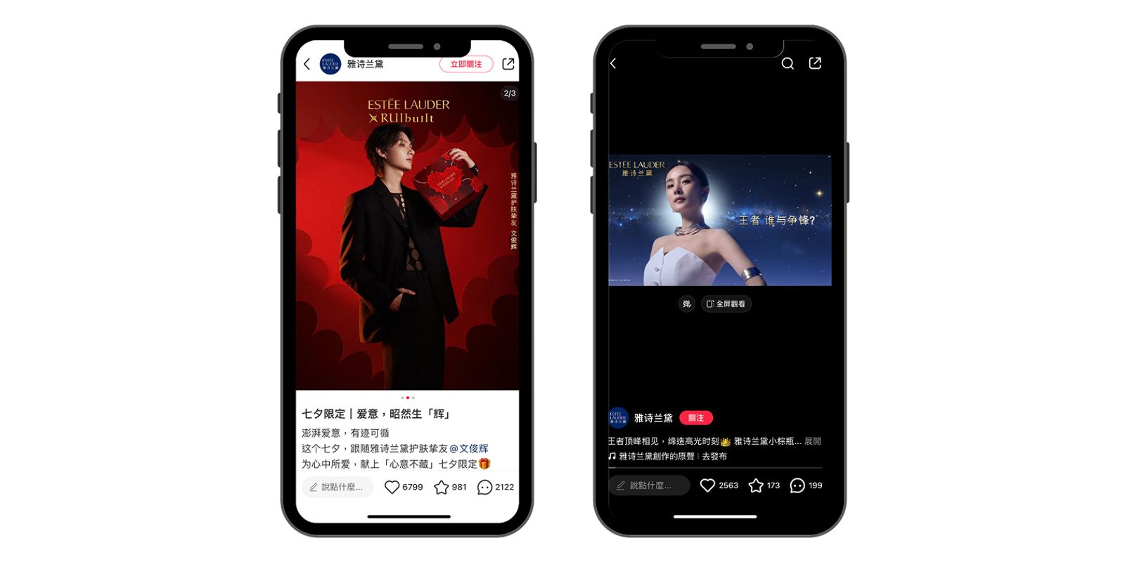 Celebrity and Influencer Strategy of Estée Lauder China