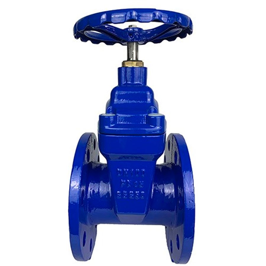 Resilient seat — Gate Valves