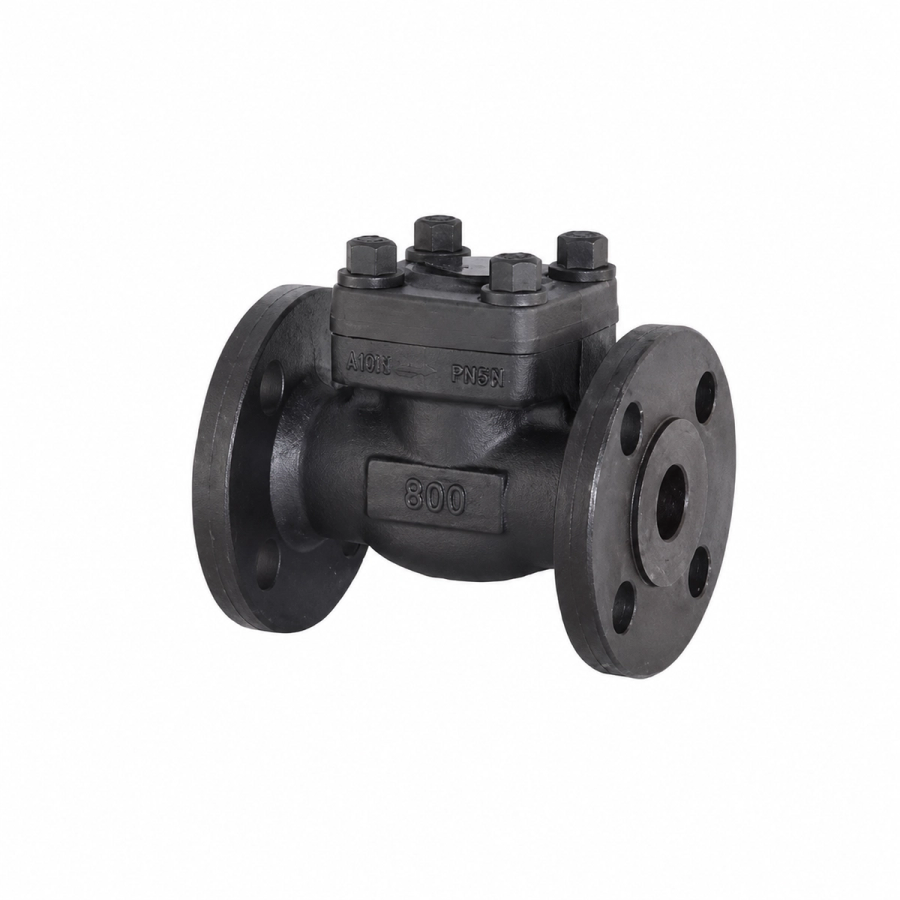 ANSI Flanged — Check Valves