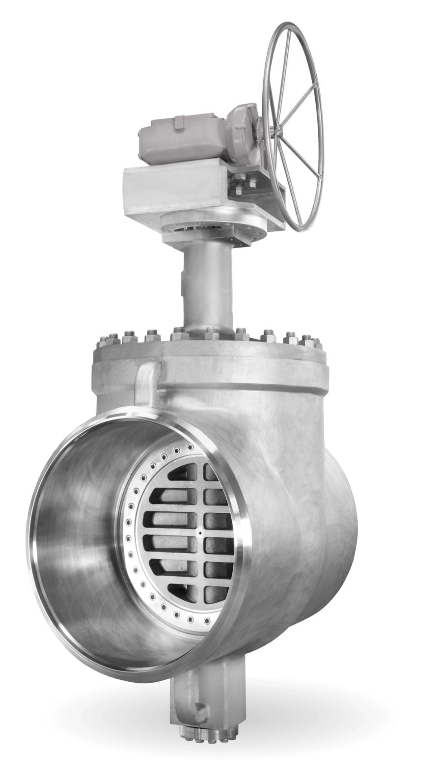 Quadax Top Entry — Butterfly Valves