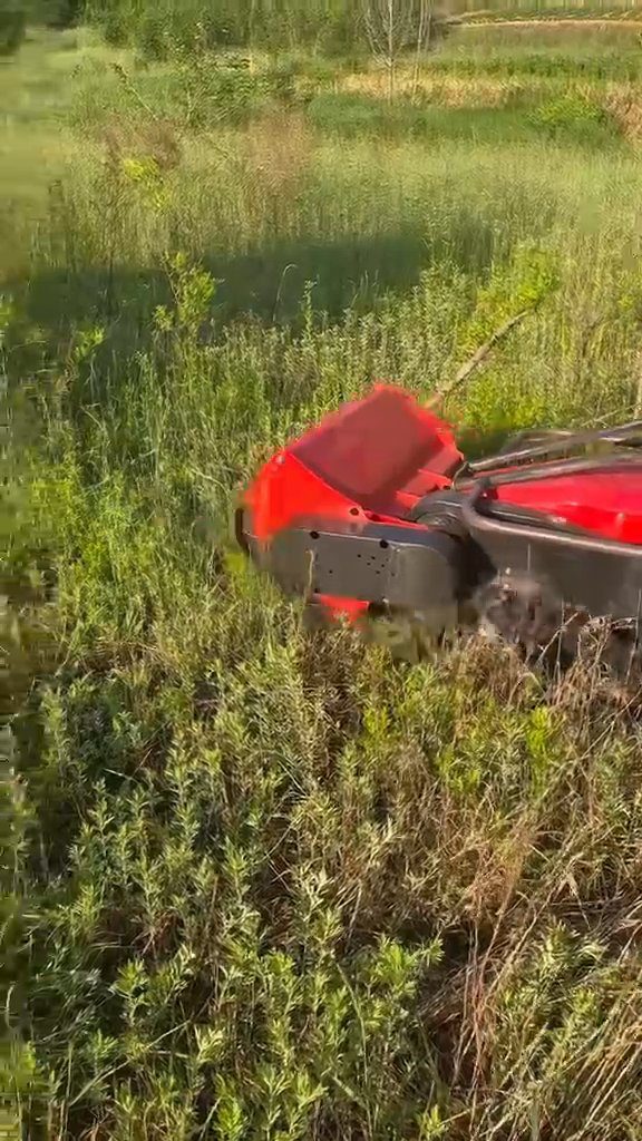 Lesná fréza a mulčovač — Frézovanie stromu
