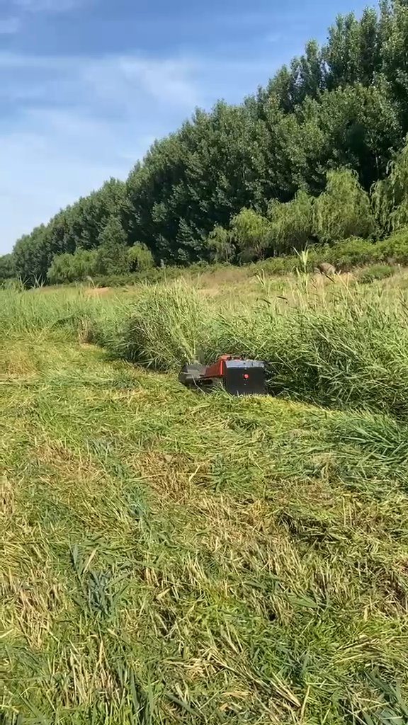Krovinorez a mulčovacia fréza — Mulčovanie