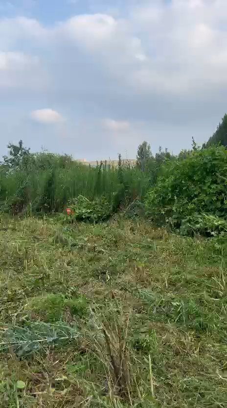 Kombinovaný stroj Kubota — Mulčovanie vysokej trávy