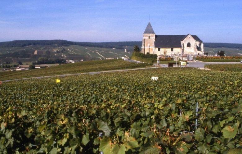 Spesialslipp: Tyskland og Champagne