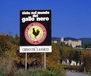 Vinforum tester Chianti Classico