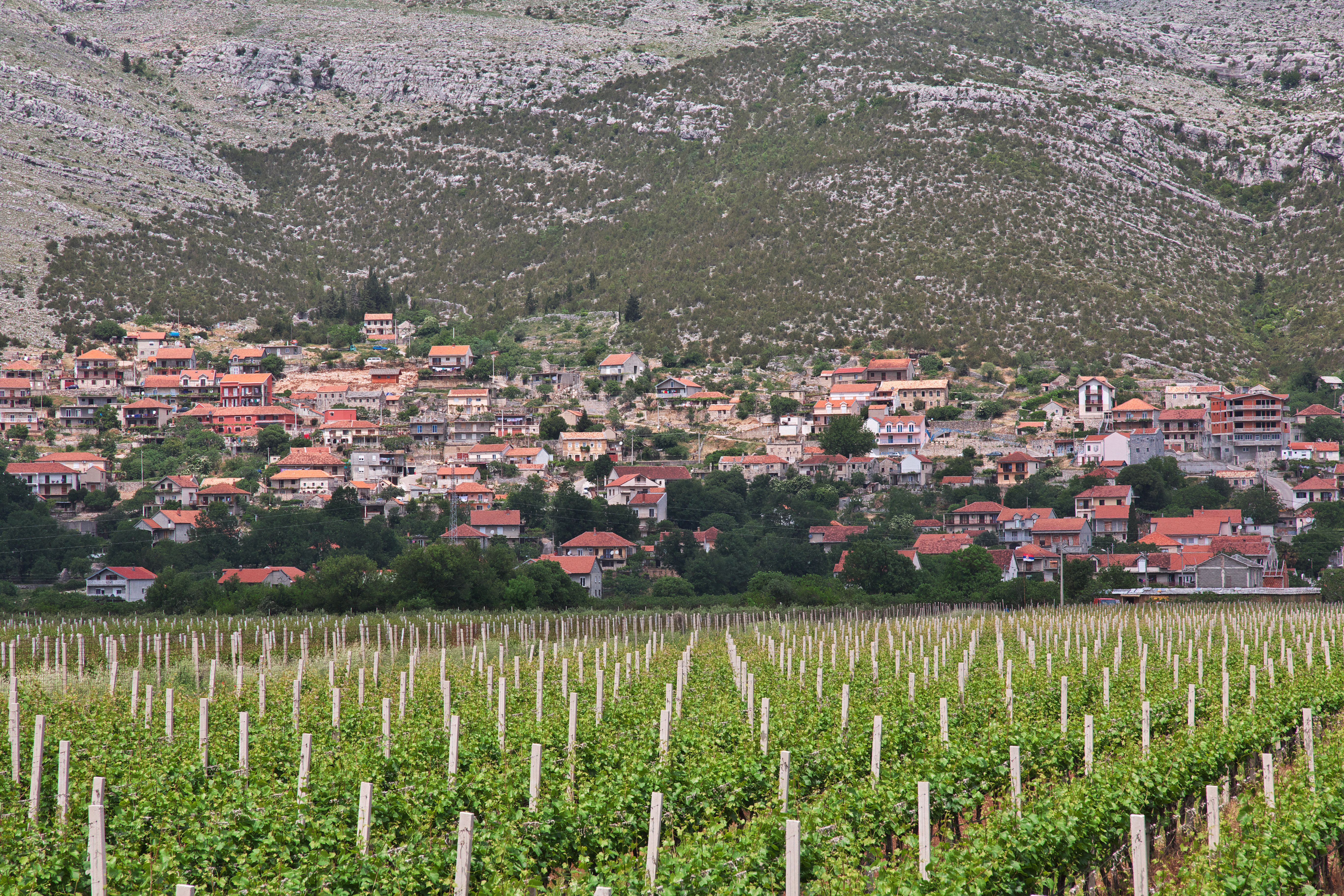 Vin fra Bosnia-Hercegovina