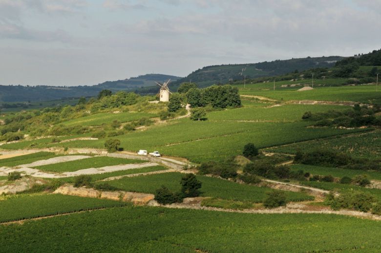 Test: Hvitviner fra Santenay & Hautes-Côtes de Beaune