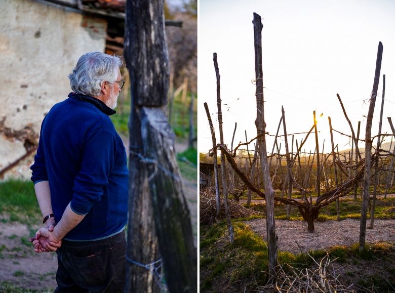 Ukens vin: Makeløs Maggiorina