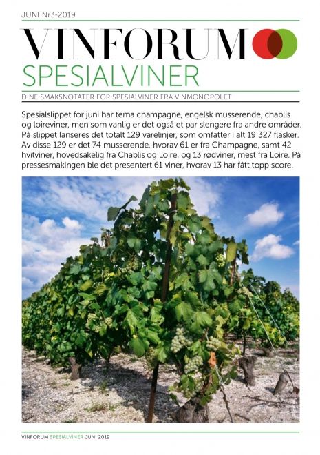 Arnes notater fra spesialslippet