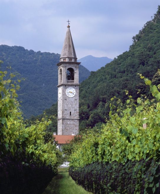 Test: Rødviner fra Friuli