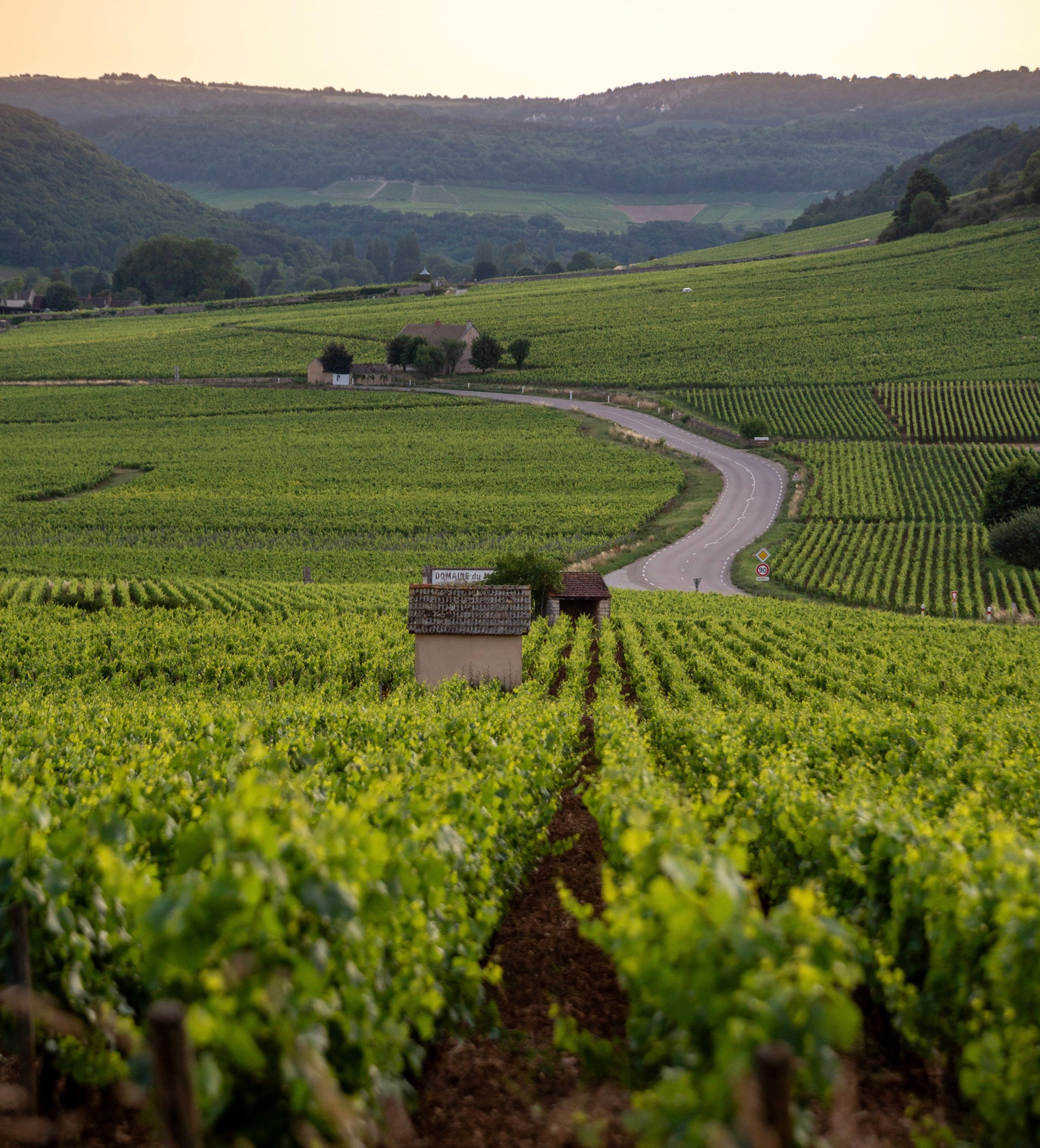 Spesialslipp av 2023 fra Burgund