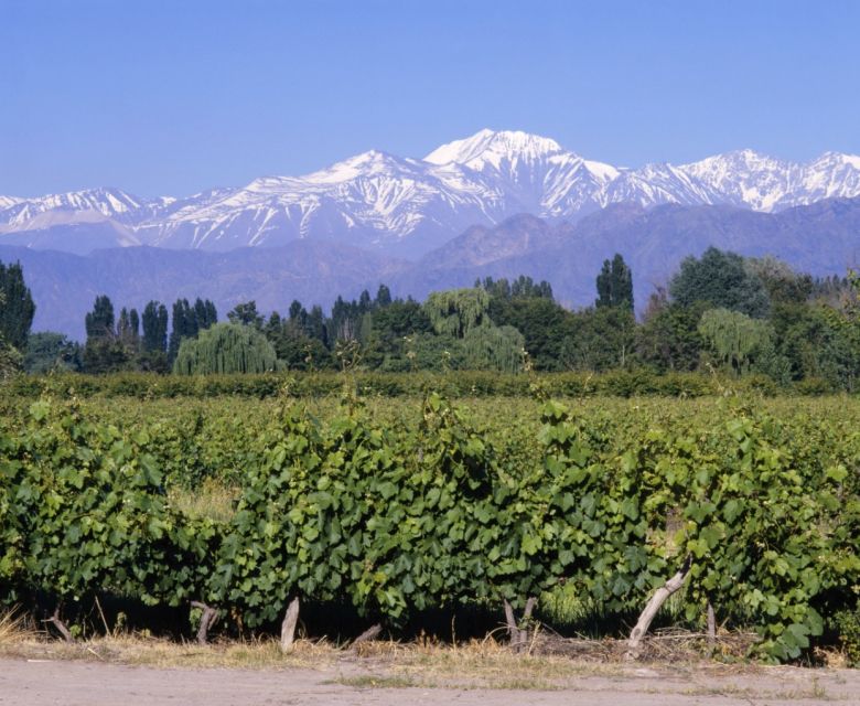 Test: Malbec fra Argentina