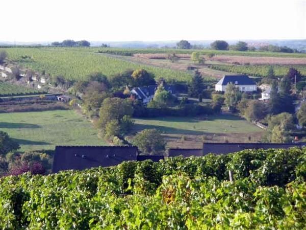 Julinyheter Vinmonopolet