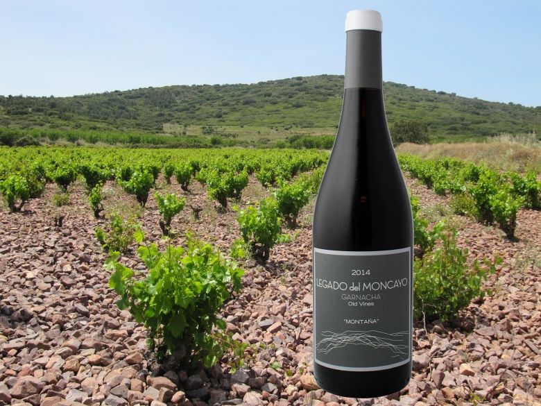 Ukens vin: Gamle garnachastokker