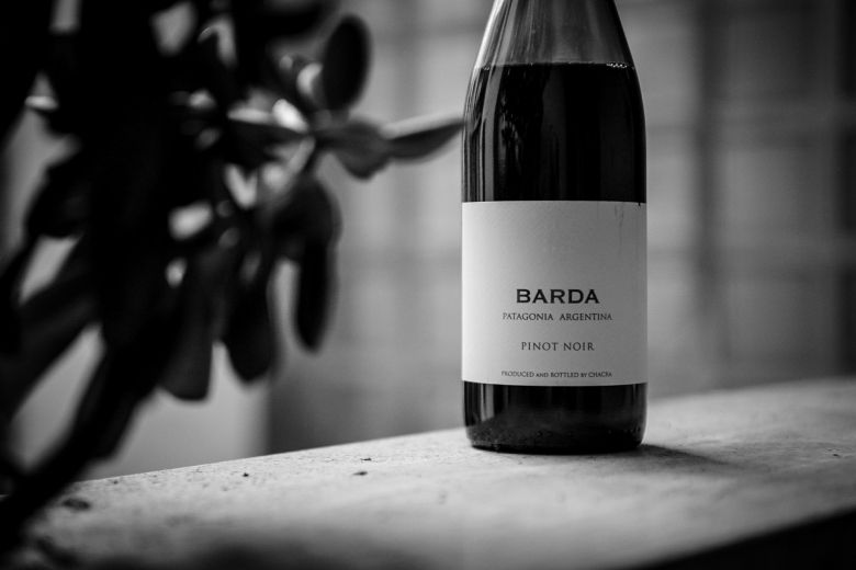 Ukens vin: Pinot fra Patagonia