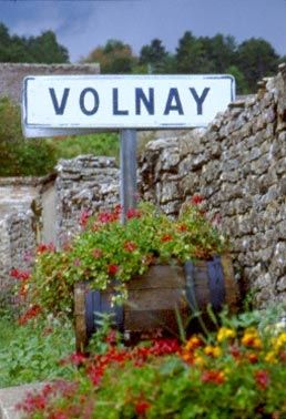 Vinforum tester Volnay årgang 2009