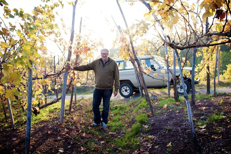 Ukens vin: Glimrende Mimmo
