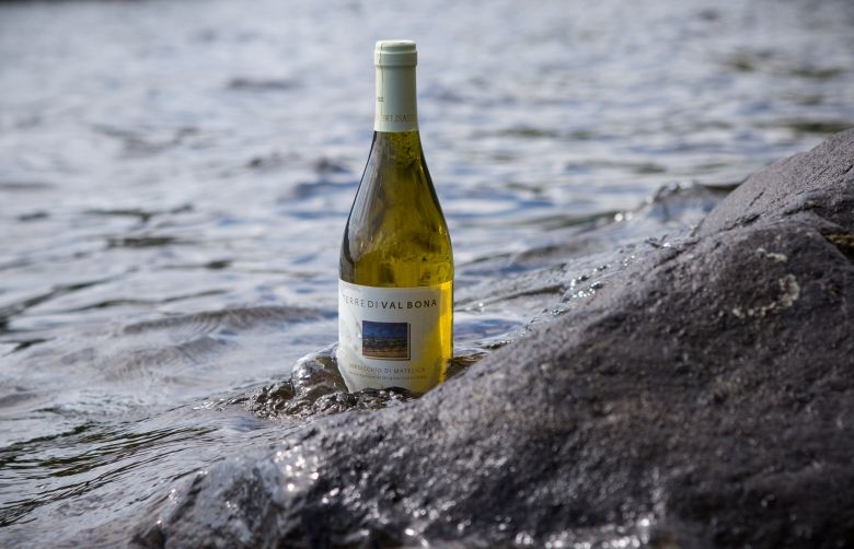 Ukens vin: Belisarios Verdicchio