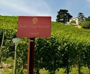 Barolo Cannubi