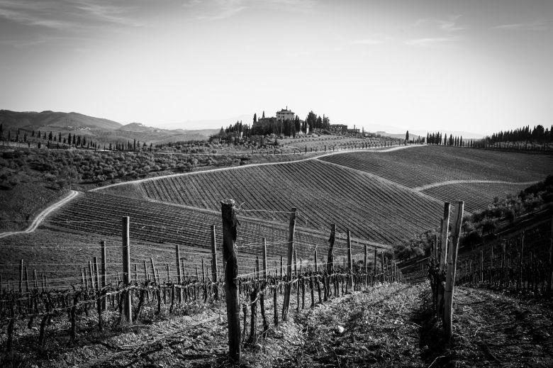Sjarmørårgangen 2018 i Chianti Classico